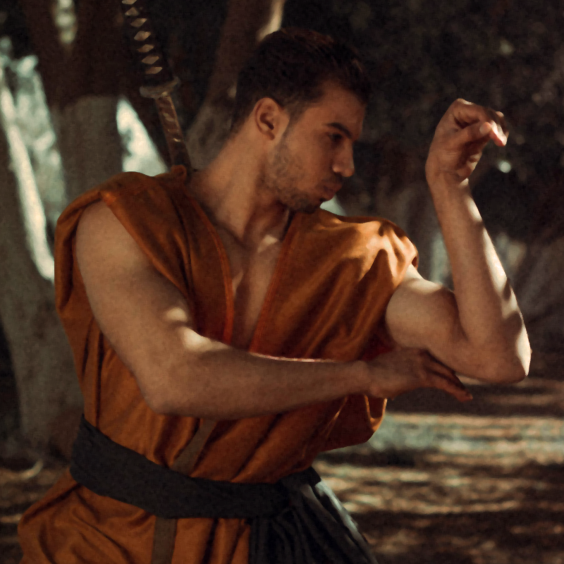 Monk practicing kungfu skill